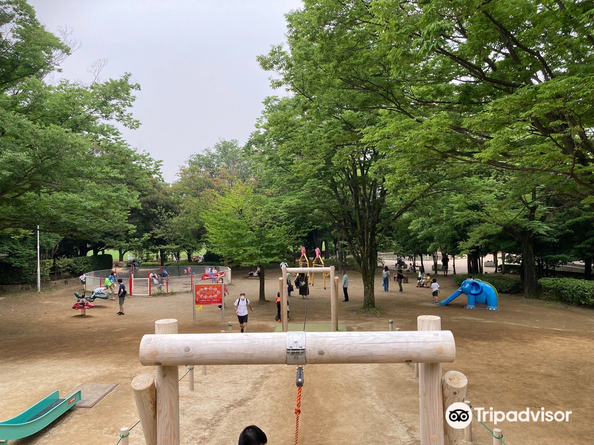 🌳 와라비 시민 공원 (蕨市民公園) 이미지 9